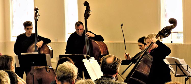 Double Bass Term News