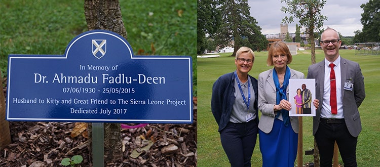 Tree Dedication