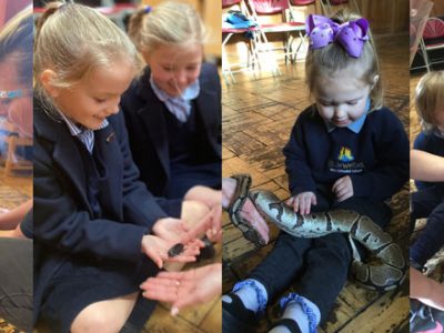 Zoolab visit to our Independent Pre-Prep and Prep School