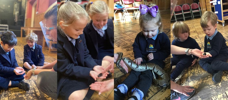 Zoolab visit to our Independent Pre-Prep and Prep School