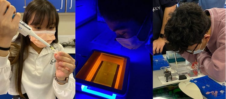 Wells Cathedral School WCS Independent School Somerset Biologists PCR