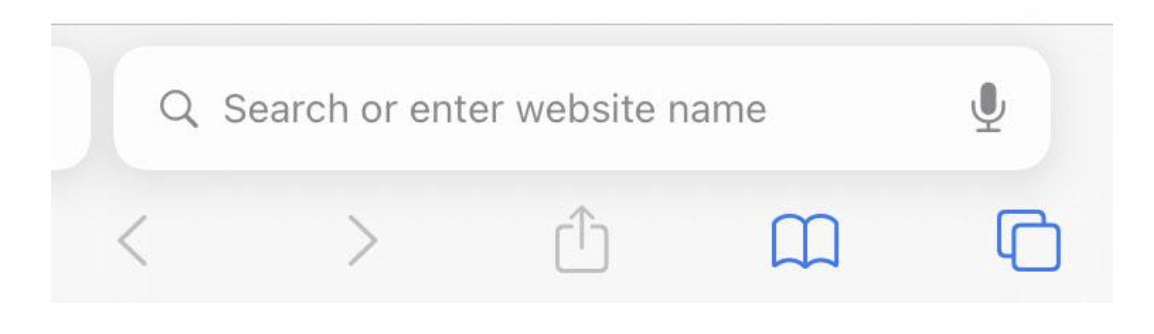 Screenshot of a URL bar