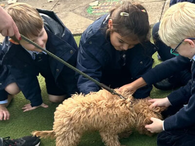 Bless the Pets WCS Wells Cathedral School Independent Prep Pre-Prep Somerset England