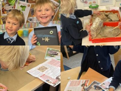 Fantastic fossils WCS Wells Cathedral School Independent Prep Somerset England