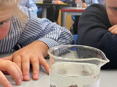 Fizz, foam and funky fluids! Year 4 Scientists explore states of matter WCS Wells Cathedral School Independent Prep Somerset England