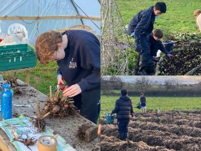 Dr Mitchell’s Wild Workers WCS Wells Cathedral School Independent Prep Somerset England